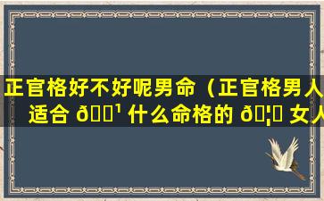 正官格好不好呢男命（正官格男人适合 🌹 什么命格的 🦉 女人）